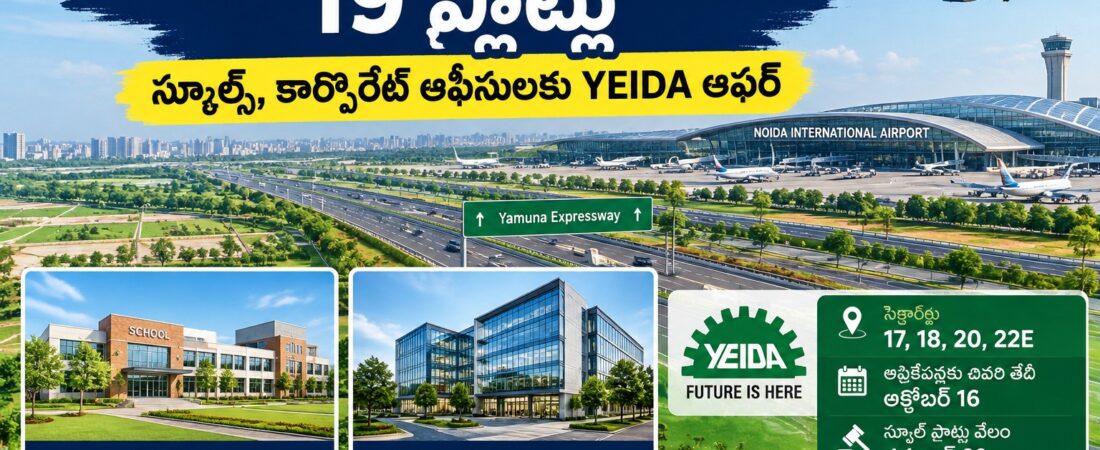 Noida 19 plots