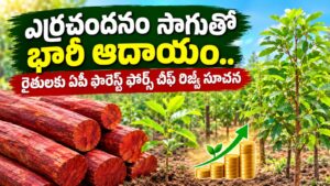 ఎర్రచందనం పెంచండి.. బిలియనీర్లుగా ఎదగండి: AP ఫారెస్ట్ ఫోర్స్ చీఫ్ రిజ్వీ