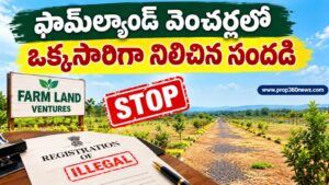 ఫామ్ల్యాండ్ వెంచర్లలో ఒక్కసారిగా నిలిచిన సందడి